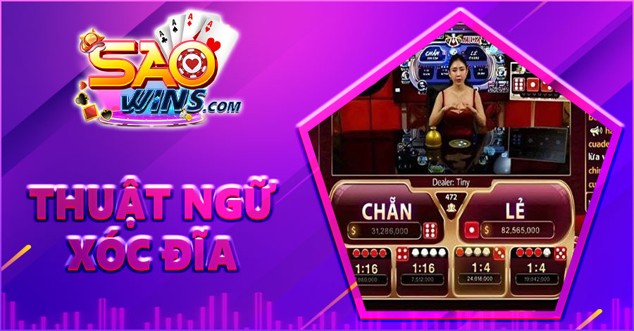 Tổng Hợp Thuật Ngữ Xóc Đĩa Cơ Bản Cho Người Mới Bắt Đầu